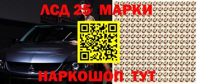 крисы Кулебаки