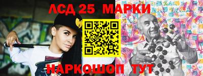 крисы Кулебаки