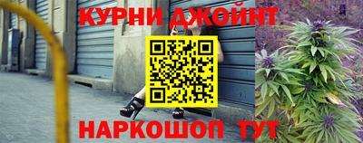 крисы Кулебаки