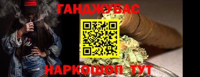 крисы Кулебаки