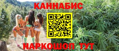 крисы Кулебаки
