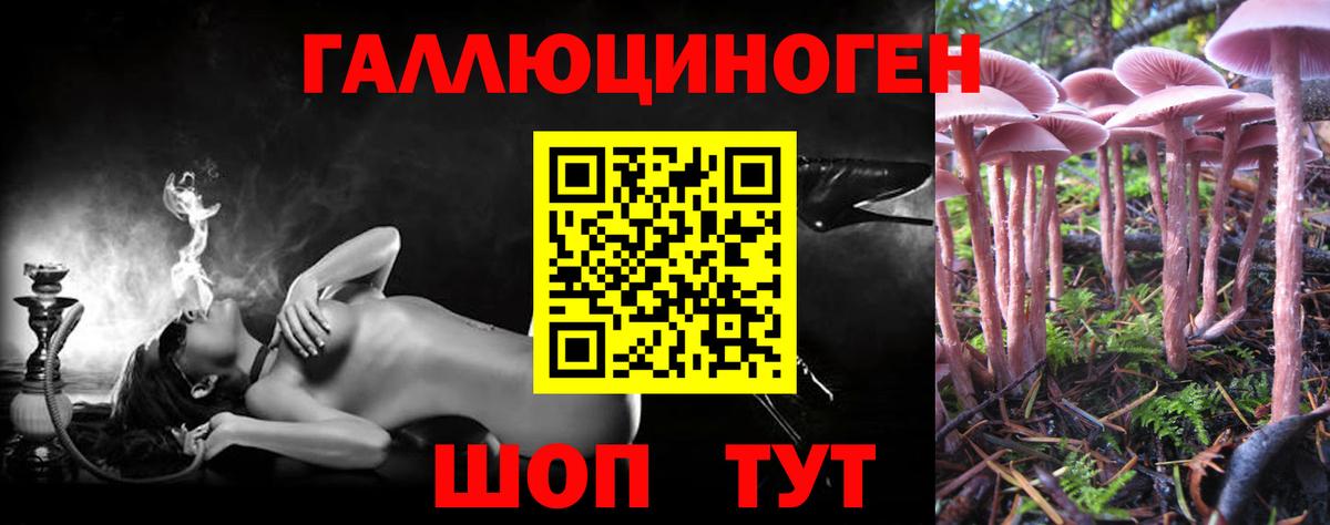 Псилоцибиновые грибы Psilocybe Ульяновск